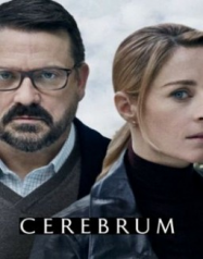 Cerebrum