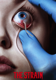 The Strain