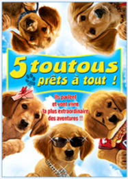 5 Toutous Prêts à Tout