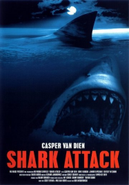 Alerte aux requins