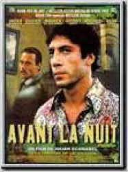 Avant la nuit