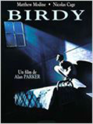 Birdy