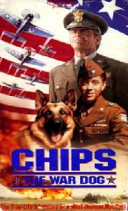 Chips, Chien de Combat