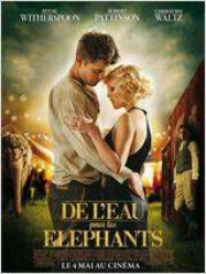 De l’eau pour les éléphants