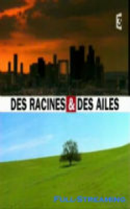 Des racines et des ailes - Passion patrimoine : Bretagne, de la Cornouaille au Léon