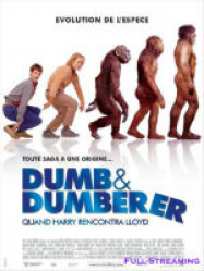 Dumb et dumberer : quand Harry rencontra Lloyd