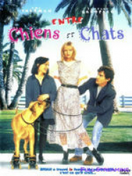 Entre chiens et chats