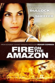 Fire on the Amazon