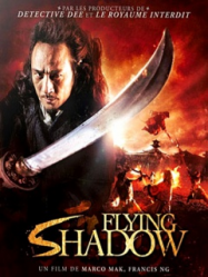 Flying Shadow