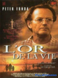 L Or de la vie