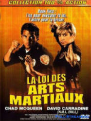 La Loi Des Arts Martiaux