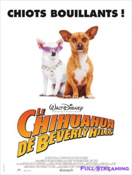Le Chihuahua de Beverly Hills