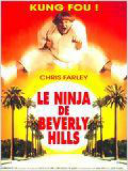 Le Ninja de Beverly Hills