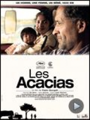 Les Acacias