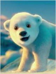 Les Ours Coca-Cola, le film