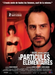 Les Particules élémentaires