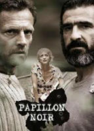 Papillon Noir