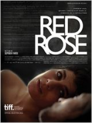 Red Rose