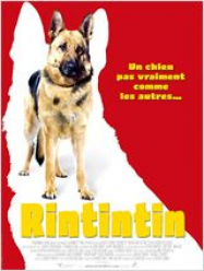 Rintintin