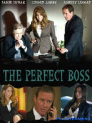 The Perfect Boss