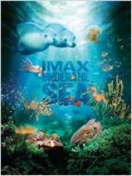 Under the Sea