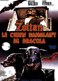 Zoltan, le chien sanglant de Dracula