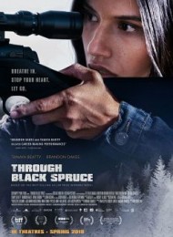 Through Black Spruce