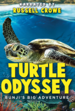 Turtle Odyssey