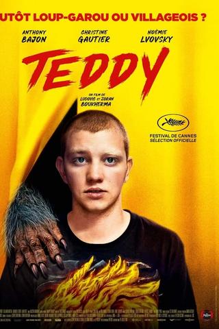 Teddy