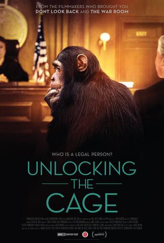 L'Avocat Des Chimpanzés