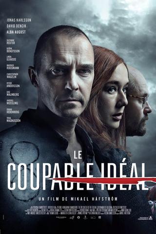 Le Coupable Idéal